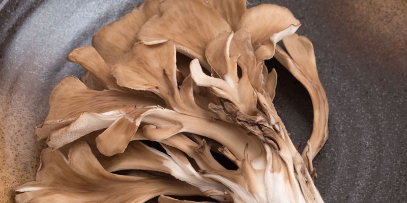 maitake50A76E00-0DB0-3AA1-71A2-C1B416B2AAB9.jpg